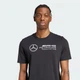 Чоловіча футболка Mercedes - AMG Petronas Formula One Team DNA Graphic adidas JV5434 (M) чорний (4068802466680) - зображення 5