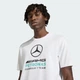 Мужская футболка Mercedes - Amg Petronas Formula 1 Team Dna Graphic adidas KE8164 (M) белый (4068819545590) - изображение 4