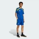 Мужское джерси Juventus Vialli Pack adidas JM9473 (S) синий (4068807421578) - изображение 3
