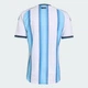 Мужское джерси Argentina 26 Home Authentic adidas JM5897 (XS) белый (4068815504713) - изображение 8