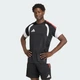 Мужское джерси Tiro 26 Competition Training adidas KA7582 (M) черный (4068821403543) - изображение 1