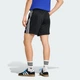 Мужские шорты Argentina Originals adidas JZ6308 (S) черный (4068821859159) - изображение 2