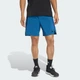 Чоловічі шорти Designed for Training Workout adidas KE9861 (S 23 см) синій (4068822273367) - зображення 1
