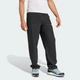 Чоловічі спортивні штани Terrex Multi Liteflex adidas JF3709 (S) чорний (4067901933932) - зображення 3