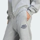 Мужские брюки VARSITY adidas KE2241 (2XL) серый (4068805249518) - изображение 4