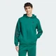 Чоловіче худі Future Icons 3-Stripes Full Zip adidas IW8531 (XS) зелений (4067896666990) - зображення 1
