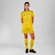 Женские домашние шорты Ukraine 24 (Женская команда) adidas IP2180 (L) серый (4067889342375) - изображение 3