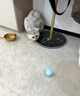 Интерактивная Игрушка для котов Cat Teaster Ball Умный Мячик (01832) - изображение 8