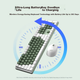 Комплект бездротовий AUSDOM Hola111 Wireless Green - зображення 5