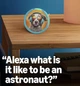 Дитяча смарт колонка Amazon Echo Pop Kids Unicorn (Англійська / Іспанська / Французська) - зображення 3