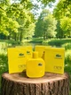 Парфуми Lacoste Eau de Lacoste L.12 12 Jaune 100 мл чоловічі фужерно-фруктовий аромат з грейпфрутом яблуком та кипарисом - зображення 2