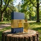Парфуми Marc-Antoine Barrois Ganymede 100 мл унісекс шкіряно-мінеральний стиль з мандарином фіалкою холодними нотами та металевим шлейфом - зображення 1
