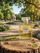 Парфюм Chanel N°19 100 мл женские зелено-пудровый аромат с ирисом розой и древесно-мускусным шлейфом - изображение 2
