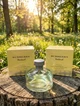 Парфуми Burberry Weekend 100 мл жіночі легкий квітково-фруктовий аромат з мандарином персиком та м'яким мускусним шлейфом - зображення 1