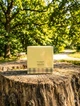 Парфуми Burberry Weekend 100 мл жіночі легкий квітково-фруктовий аромат з мандарином персиком та м'яким мускусним шлейфом - зображення 2