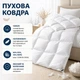 Одеяло Billerbeck E04 Goldedition Mono 155x220 см белый 5542258005 - изображение 3