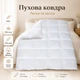 Пуховое одеяло Billerbeck Аделия К2 зимнее 200x220 см белый 0590-22/03 - изображение 2