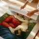 Постер Малая Мадонна Каупера, Рафаэль, Raphael Santi, Small Cowper Madonna, A3 42×30 см (id6958) - изображение 3