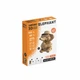 Картонний конструктор "Cartonic Collectible LION" - зображення 6