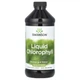 Рідкий хлорофіл Swanson (Liquid Chlorophyll) 100мг 473мл (SWV-06031) - зображення 1