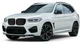 Ноздри 1 Bar (2018-2021, Черный Глянец) для BMW X3 G01 2018- гг - изображение 4