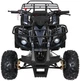 Квадроцикл Wildpeak 110CC бензиновий чорний PSP.ATV006.CZ (5903864960495) - зображення 3