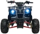 Квадроцикл Wildpeak 110CC бензиновий червоний PSP.ATV006.CR (5903864960501) - зображення 10