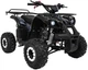 Квадроцикл Wildpeak 110CC бензиновий чорний PSP.ATV006.CZ (5903864960495) - зображення 19