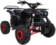 Квадроцикл Wildpeak 110CC бензиновий червоний PSP.ATV006.CR (5903864960501) - зображення 19