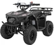 Квадроцикл 49CC Sirius бензиновий чорний PSP.ATV-13A.CZ (5903864983951) - зображення 1