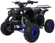 Квадроцикл Wildpeak 110CC бензиновий синій PSP.ATV006.NIE (5903864960518) - зображення 1
