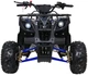 Квадроцикл Wildpeak 110CC бензиновий синій PSP.ATV006.NIE (5903864960518) - зображення 12