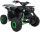 Квадроцикл Wildpeak 110CC бензиновий зелений PSP.ATV006.ZIE (5903864960525) - зображення 11