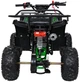 Квадроцикл Wildpeak 110CC бензиновий зелений PSP.ATV006.ZIE (5903864960525) - зображення 19