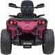 Електроквадроцикл для дітей Can Am Outlander ATV рожевий PA.DK-CA005.2.4GHZ.ROZ (5903864982640) - зображення 12
