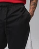 Баскетбольні Шорти Jordan Sport Men's Dri-FIT Shorts(IQ5775-011) XS Чорний-Білий - зображення 4
