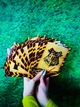 ФотоЗона "Harry Potter" 19 предметов - изображение 5