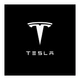Лазерная подсветка двери с логотипом Tesla BTSL01 - изображение 2
