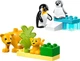 Конструктор LEGO DUPLO Сімейства диких тварин: Пінгвіни та Леви (10442) - зображення 3