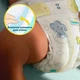 Підгузки Pampers Premium Care розмір 4 (9-14 кг) 104 шт - зображення 7