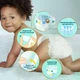 Підгузки Pampers Premium Care розмір 3 (6-10 кг) 200 шт - зображення 6