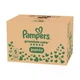 Підгузки-трусики Pampers Premium Care Pants розмір 5 (11-17 кг) 80 шт - зображення 2