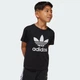 Дитячий комплект: футболка та шорти Adicolor Kids adidas JC9155 (104) чорний (4067902615929) - зображення 5