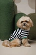 Одежда Pet Fashion Breeze Футболка для собак S (1111225444) - изображение 4