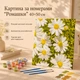 Картина по номерам "Ромашки" 40×50 см - изображение 1