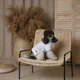 Футболка для собак Pet Fashion Polo белая хлопковая размер S (MLZ12160) - изображение 5