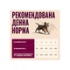 Вологий корм Carnilove Turkey & Salmon для кошенят, паштет індичка і лосось, 100 г (8595602582877) - зображення 2