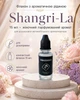Флакон з ароматичною рідиною Shangri-La 15 мл для автомобільного ароматизатора | Жіночний парфумований аромат - изображение 1
