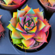 Сукулент Ехеверія Echeveria purpusorum з райдужним забарвленням D6см - изображение 4