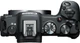 Беззеркальный фотоаппарат Canon EOS R8 Body + Mount Adapter EF-EOS R - изображение 7